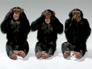 Here no evil, say no evil, there must be nothing wrong. 